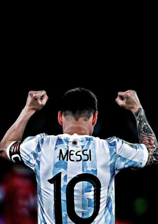 的关系纵横 的关系纵横